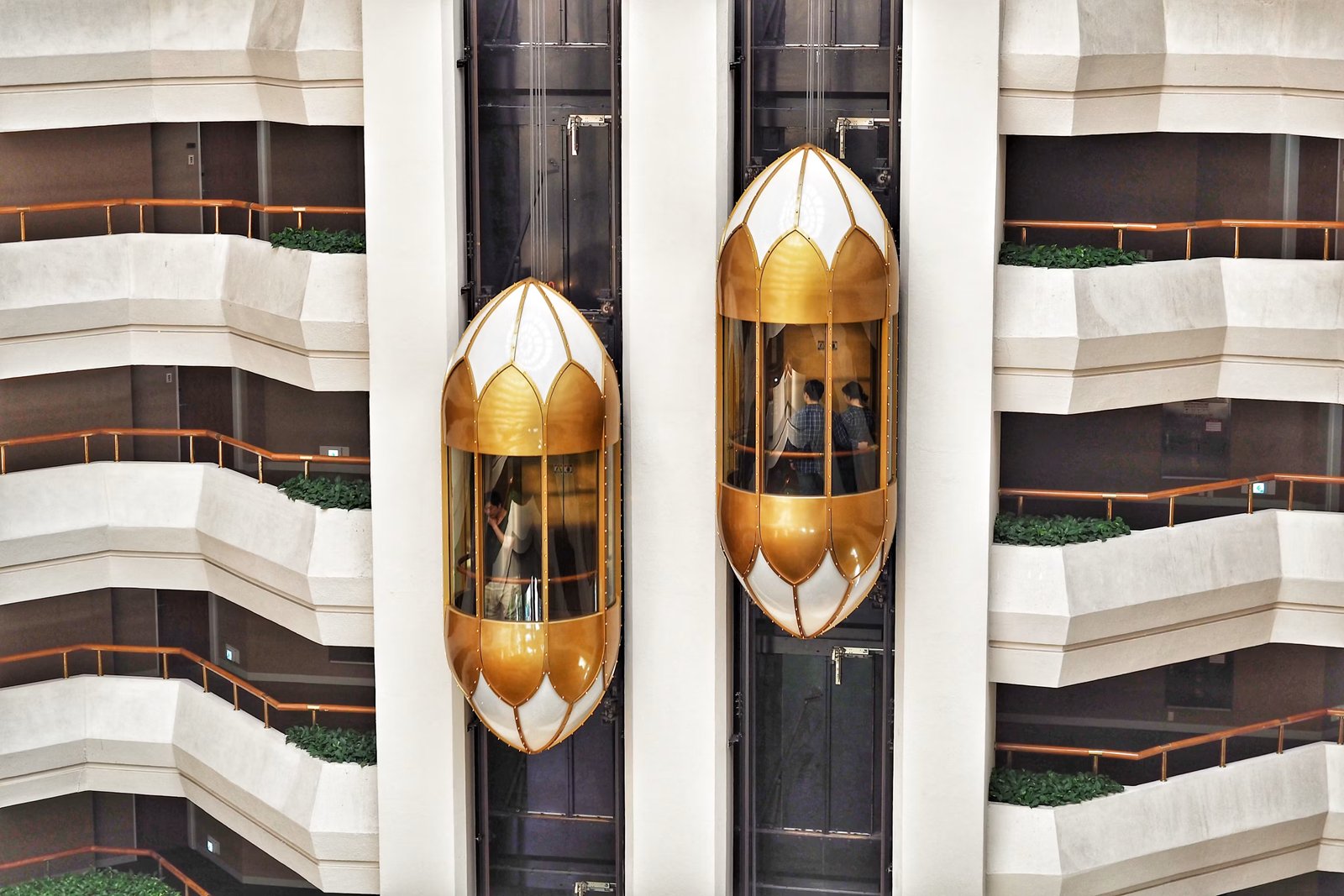Capsule Lift